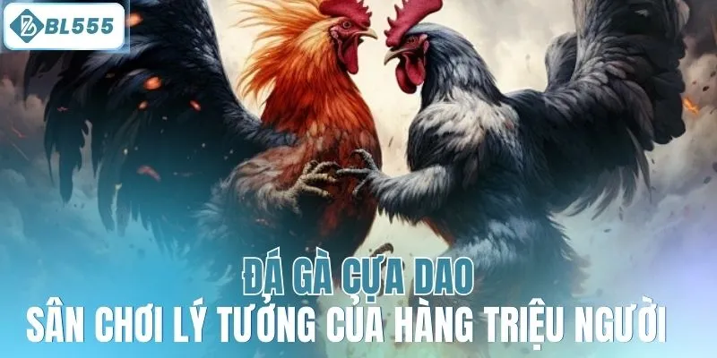 Đá gà cựa dao - Sân chơi lý tưởng của hàng triệu người 